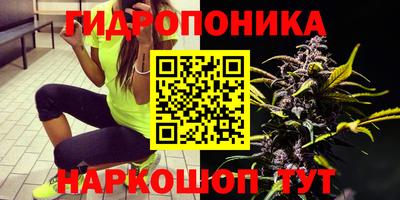 крисы Свободный