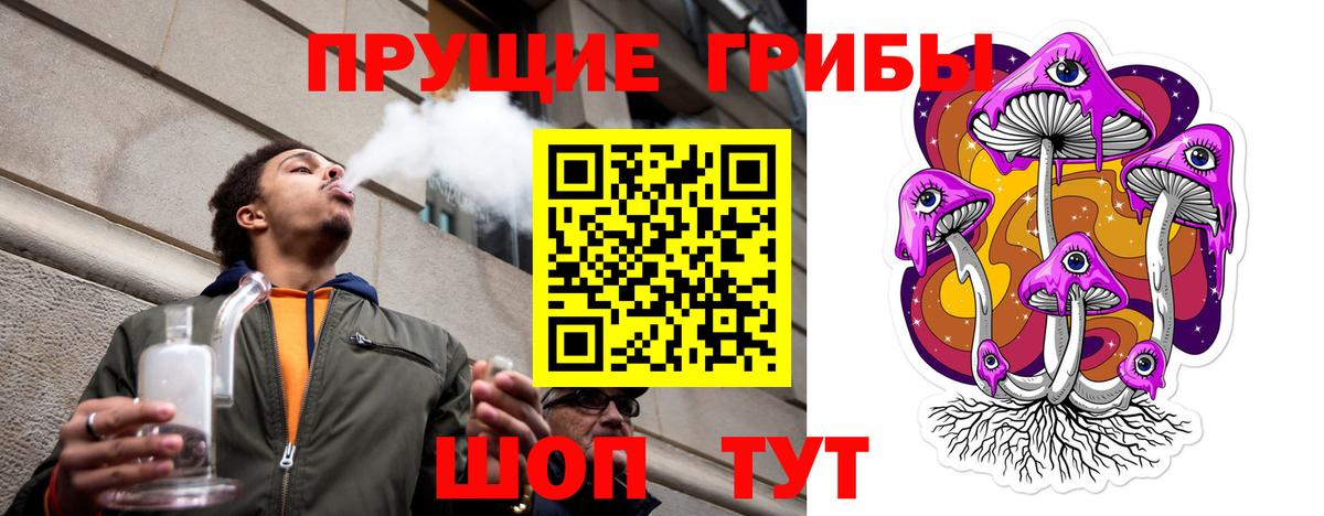 Галлюциногенные грибы GOLDEN TEACHER  Вход с VPN  Новосибирск 
