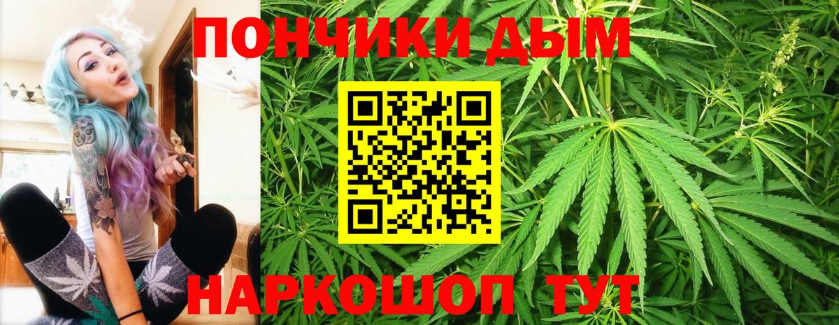Бошки Шишки OG Kush  Бошки марихуана SATIVA & INDICA  Конопля сатива  Новосибирск  Вход с VPN 